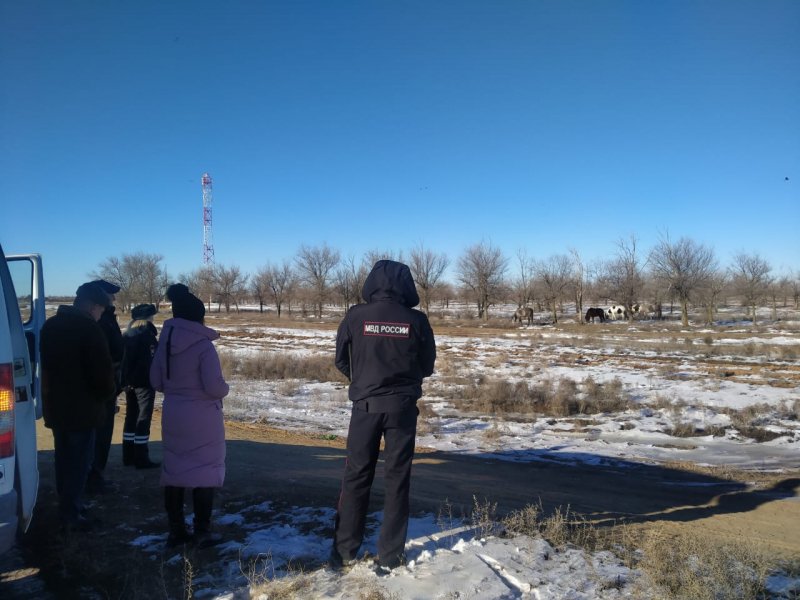 В Ахтубинском районе привлечены к ответственности владельцы сельскохозяйственных животных